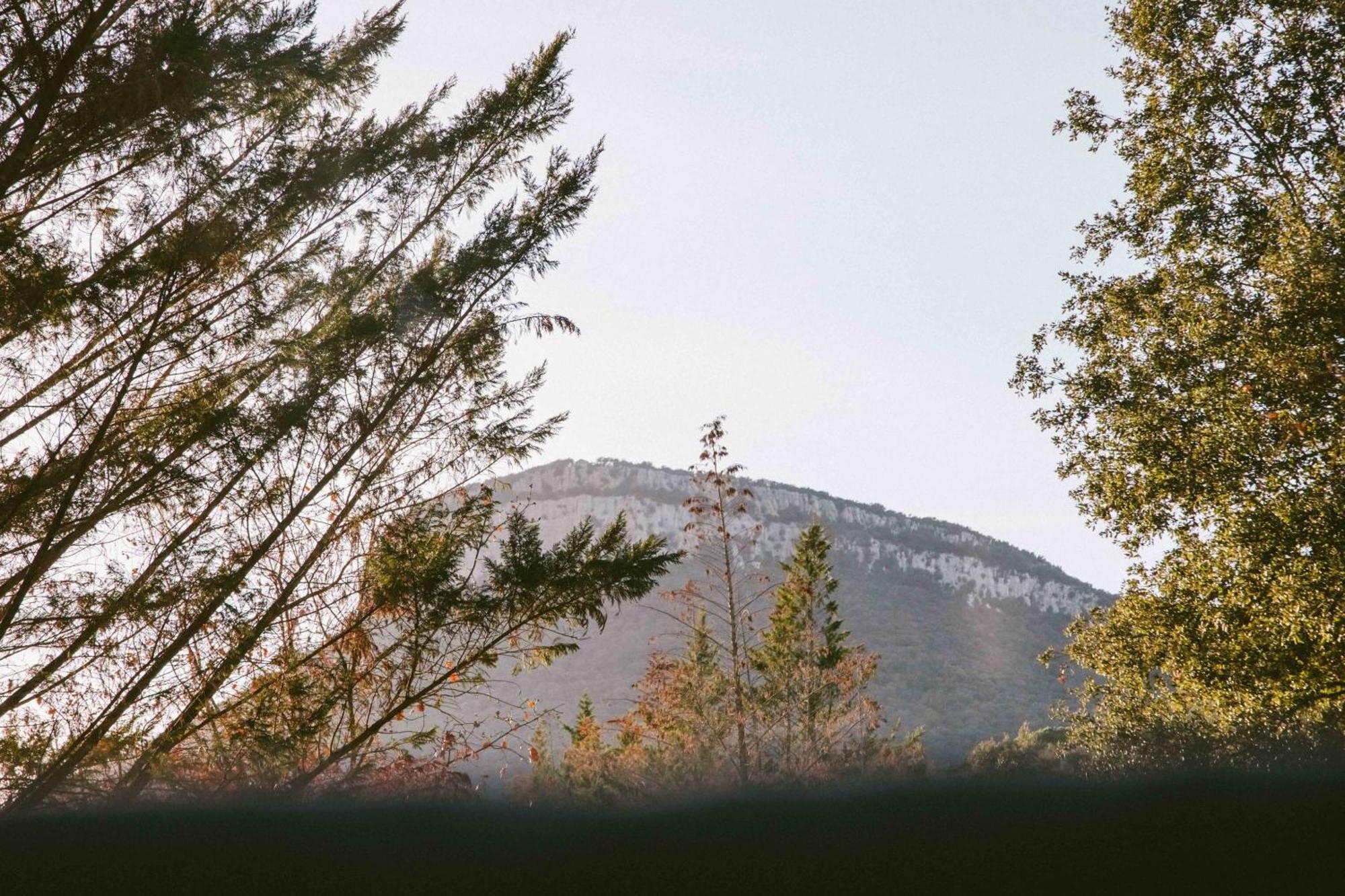 Caseta Wald By Tiny Away Las Serras Dış mekan fotoğraf
